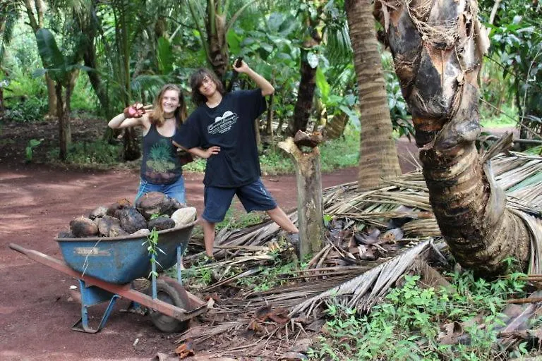 Auberge de jeunesse Paradise eco-village Pahoa