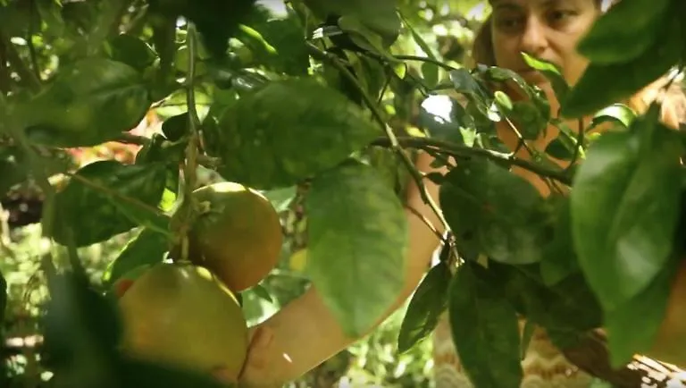 Paradise eco-village Pahoa