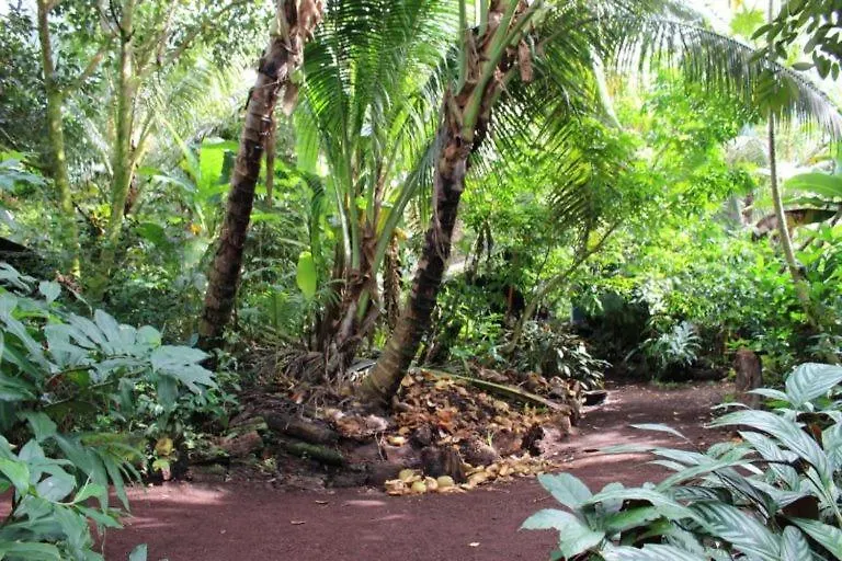 Auberge de jeunesse Paradise eco-village Pahoa États-Unis