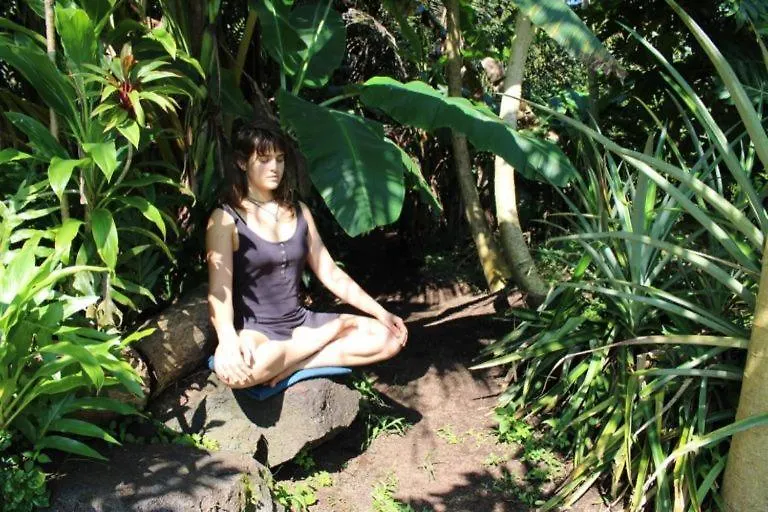 Auberge de jeunesse Paradise eco-village Pahoa