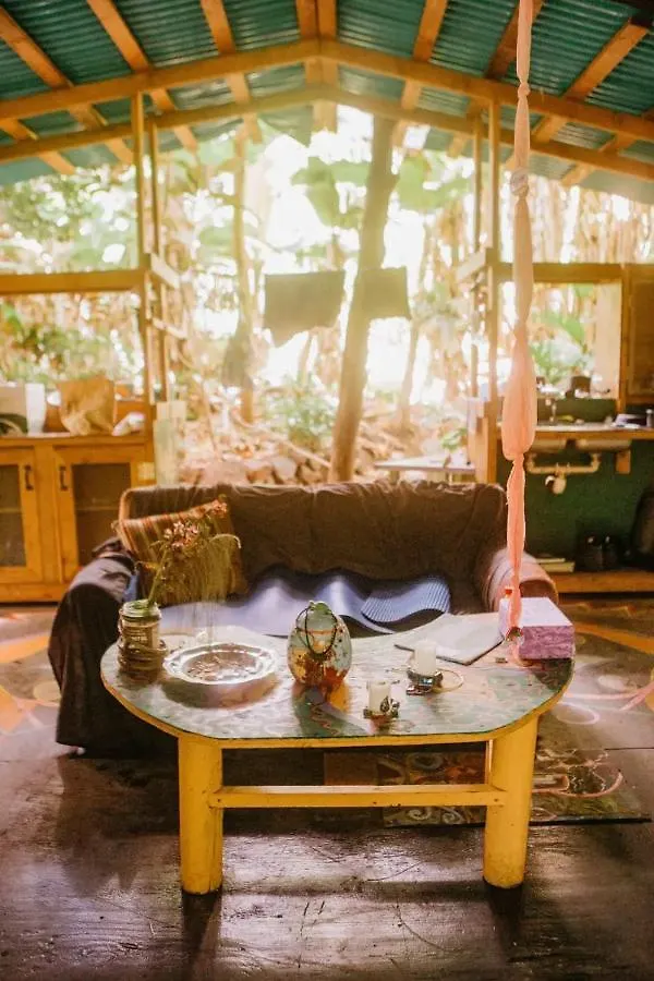 Paradise eco-village Pahoa 0*,  États-Unis
