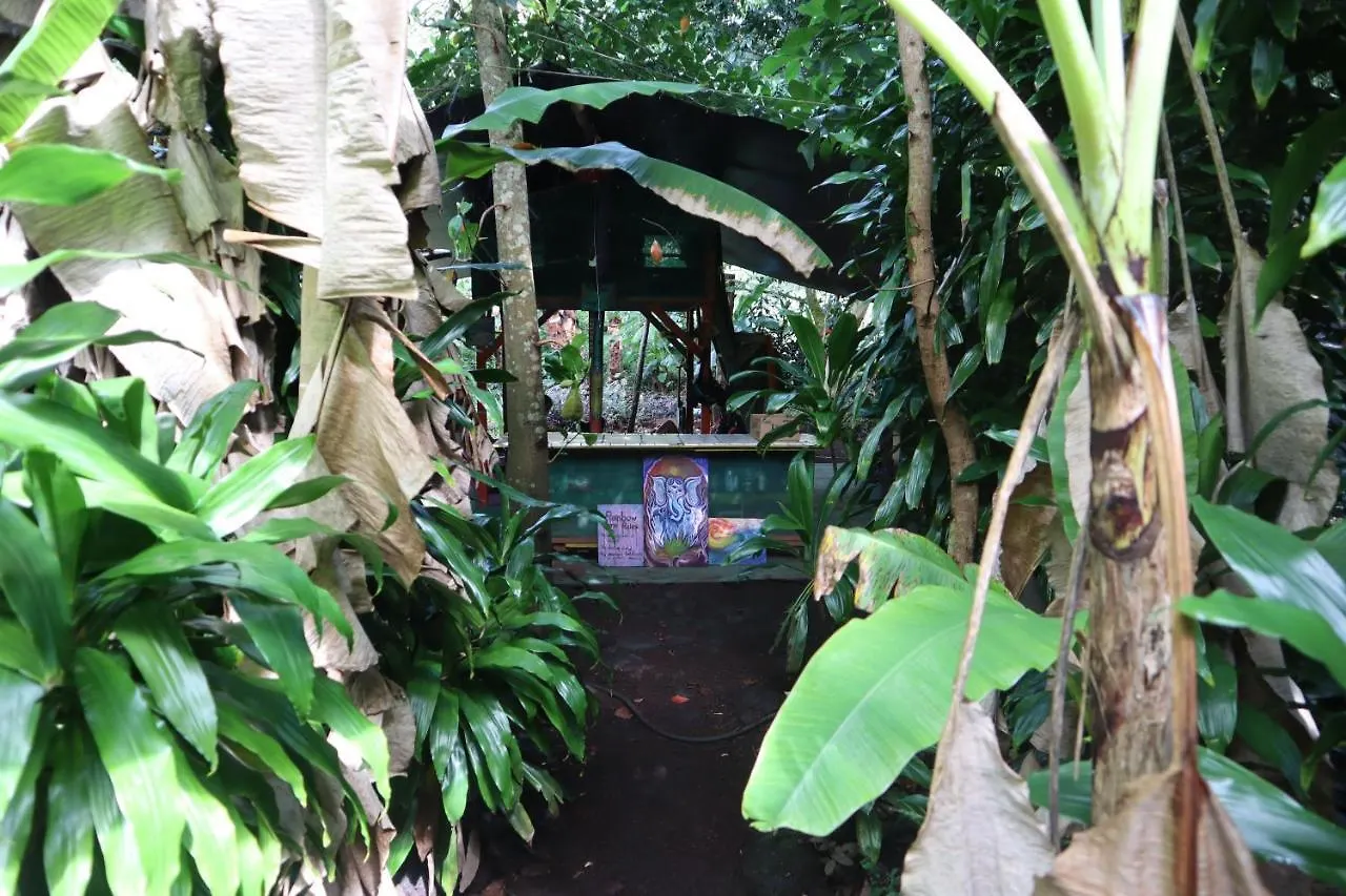 Paradise eco-village Pahoa Auberge de jeunesse