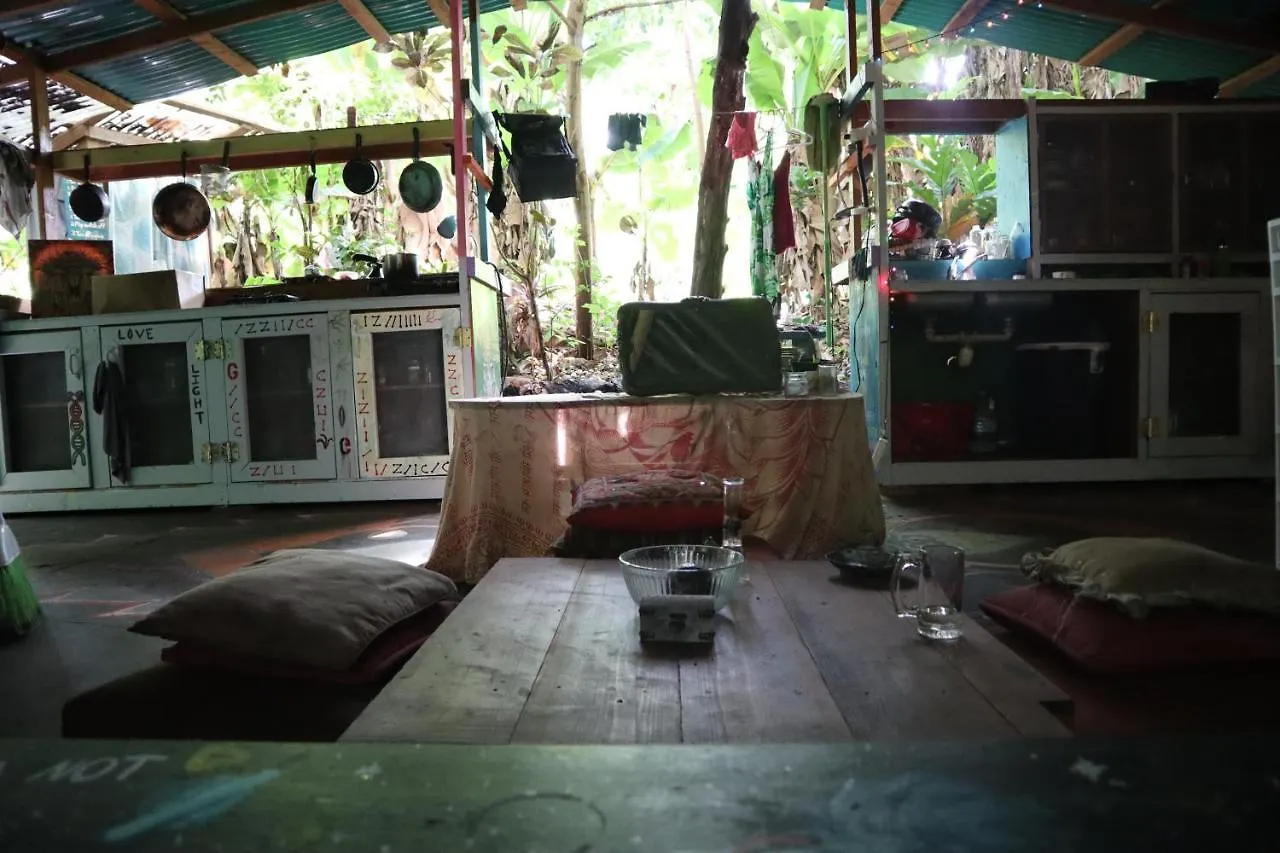 Auberge de jeunesse Paradise eco-village Pahoa